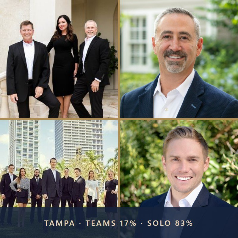 Teams or Solo Agents: Who Sells Tampa's Homes at $1M and Up?